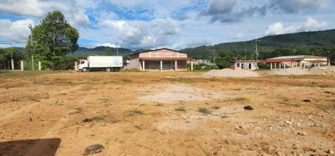 Lote 131 Los Helechos